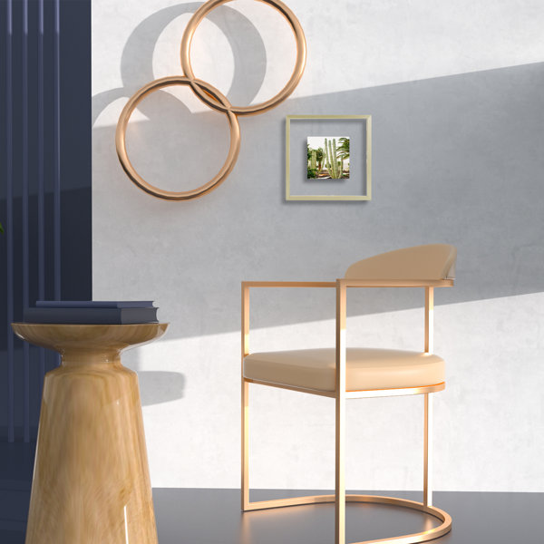 Ebern Designs Donham Metal Picture Float Frame without Mat Wall Hanging